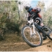 Tassie Downhill