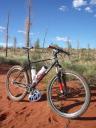 benny-desert-singlespeed.jpg