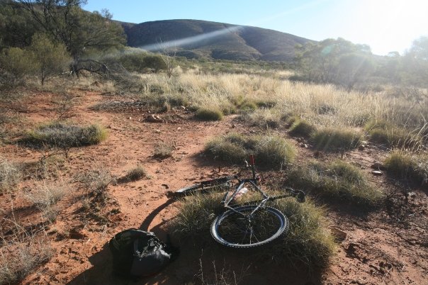 camel-pad1 camel-pad1