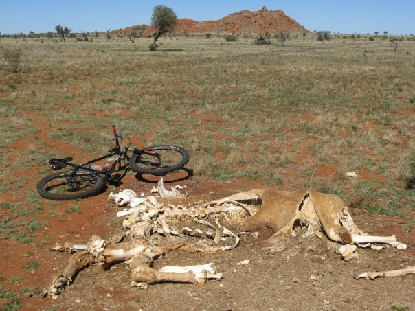 mission-1-tapiya-1x1-and-a-camel1 mission-1-tapiya-1x1-and-a-camel1