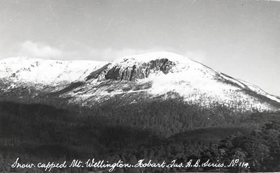 Mt Wellington
